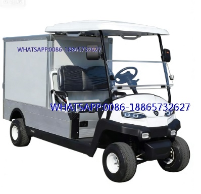 2 Seater Pickup Truck low speed mini food golf cargo car
