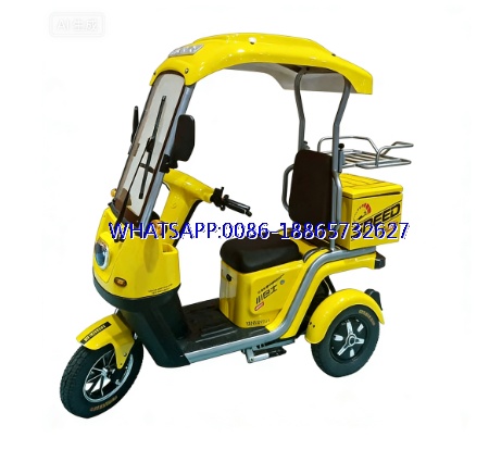 Hot Sale Double Motor Tricycle Takeaway Bike Tricycle