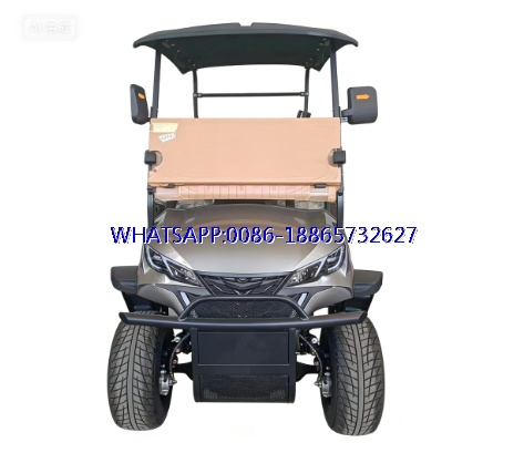 2024 Best Selling High Quality 4 Wheel Golf Cart 2 Seat Golf Cart