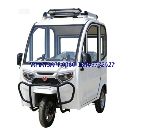 Electric Tricycle Fully Enclosed Small Household Scooter