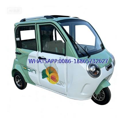 2024 Hot Sale New Cheap Fully Enclosed Convertible Large Space Adult Electric Tricycles