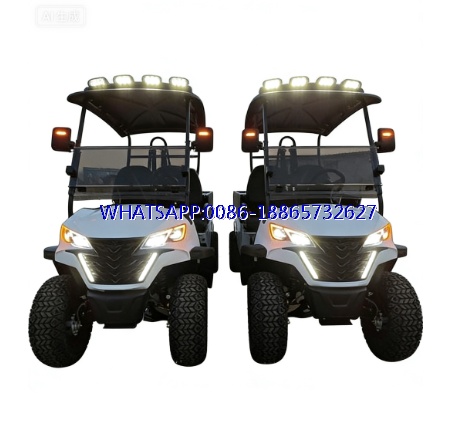 Factory Wholesale Prices 2 Seater Utility Electric Club Car HKBG Golf Cart Bugyy With Cargo Box