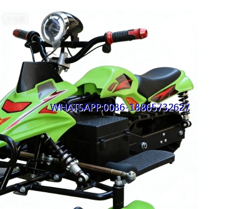 2025 Factory Price Custom Snow Scooter Adult and Children 48v 20AH 800w with Horn/light/three Speed Racer Sleds