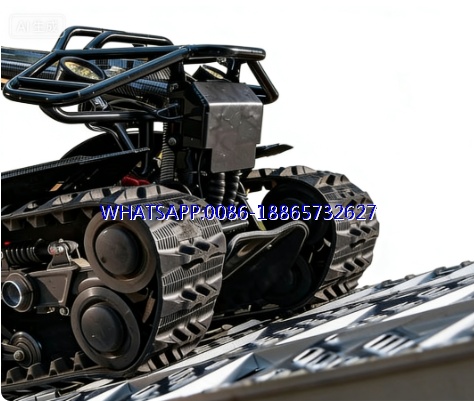 Hot Sale Electric Tracked Vehicle High Performance All Terrain All Season Vehicle for Fun ETV Tank