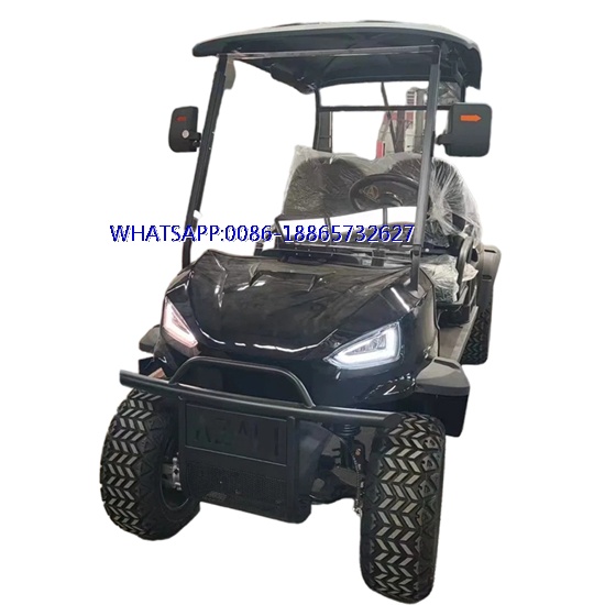 Premium 2025 Golf Cart with Cargo Box for Sale