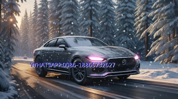 How should electric vehicles be maintained in winter? How should electric vehicles be maintained in winter?