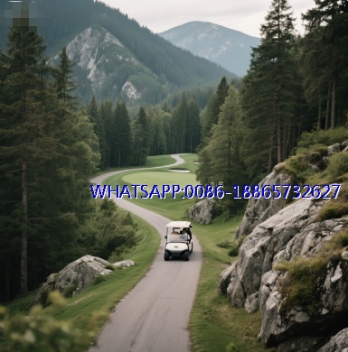 How to Match the Right Motor and Electronic Control System to Golf Carts Based on Terrain? How to Match the Right Motor and Electronic Control System to Golf Carts Based on Terrain?