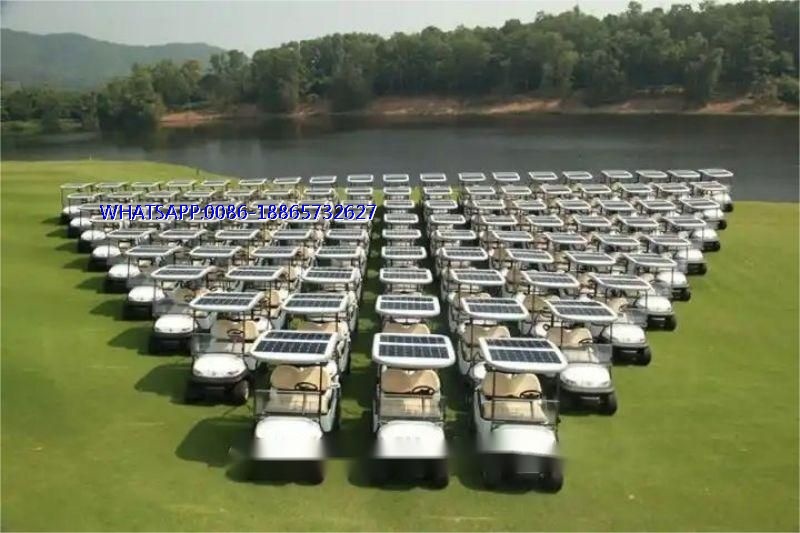 Our company launches the new 2024 solar powered golf cart Our company launches the new 2024 solar powered golf cart