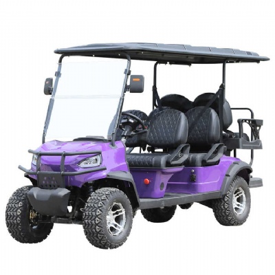 Our factory has made a new breakthrough in battery technology for electric golf carts Our factory has made a new breakthrough in battery technology for electric golf carts