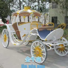 Electric carrage
