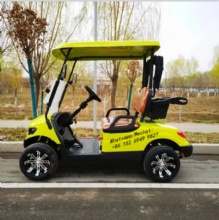 Factory direct sales 2 golf cart powerful 4 wheel electric golf cart