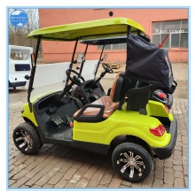 2024 Latest Model 2-Seater Latest Model Electric Golf Cart