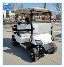 New Style 2-Seater Latest Model Electric Golf Cart