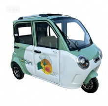 2024 Hot Sale New Cheap Fully Enclosed Convertible Large Space Adult Electric Tricycles 2024 Hot Sale New Cheap Fully Enclosed Convertible Large Space Adult Electric Tricycles