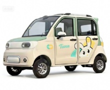 2025 Energy  Electric Vehicle 4-Wheel Electric MINI Car FWD Multi-Function LHD