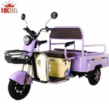 Electric Cheap Car Quiet Operation Factory Material Handling Emergency Response Parts Electric Tricycle