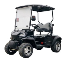 Premium 2025 2-Seater Golf Cart - Limited Time Offer