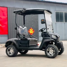 Premium 2025 2-Seater Golf Cart - Limited Time Offer