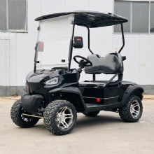 Premium 2025 2-Seater Golf Cart - Limited Time Offer
