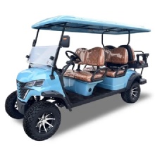 Premium 2025 6-Seater Golf Cart - Limited Time Offer