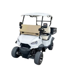Premium 2025 Golf Cart with Cargo Box for Sale