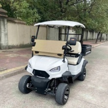 Premium 2025 Golf Cart with Cargo Box for Sale