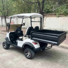 Premium 2025 Golf Cart with Cargo Box for Sale