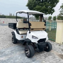 Premium 2025 Golf Cart with Cargo Box for Sale