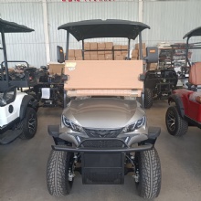 Premium 2025 2-Seater Golf Cart - Exclusive Limited Time Deal