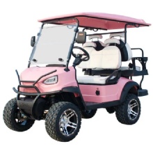 Premium 2025 4-Seater Golf Cart - Exclusive Limited Time Deal