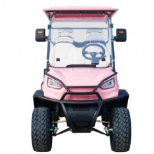 Premium 2025 4-Seater Golf Cart - Exclusive Limited Time Deal