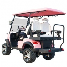 Premium 2025 4-Seater Golf Cart - Exclusive Limited Time Deal