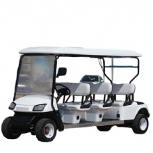 Premium 2025 6-Seater Golf Cart - Exclusive Limited Time Deal