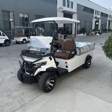 Premium 2025 Golf Cart with Cargo Box for Sale