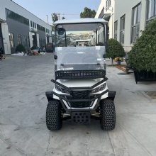 Premium 2025 Golf Cart with Cargo Box for Sale