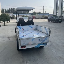 Premium 2025 Golf Cart with Cargo Box for Sale