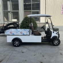 Premium 2025 Golf Cart with Cargo Box for Sale