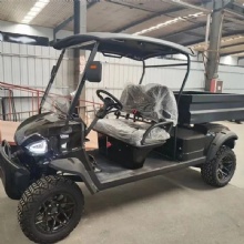 Premium 2025 Golf Cart with Cargo Box for Sale