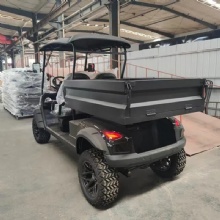 Premium 2025 Golf Cart with Cargo Box for Sale