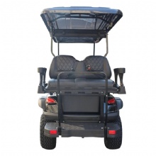 Wholesale 6-Passenger Electric Golf Cart for Off-RoadAdventures