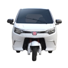 Eco-Friendly Electric Tricycle for Urban Commuting and Leisure