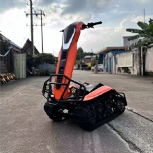 ATV Electric All-Terrain Vehicle for Ultimate Experience