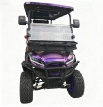 2026 New Golf Cart 2026 New Golf Cart