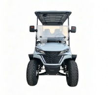4+2 Seater Gas Powered Golf Cart