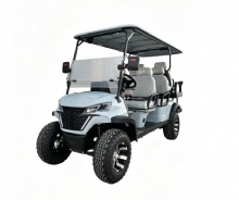 6 Seater Gas Powered Golf Cart