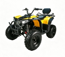 Wholesale 150cc ATV Quad Bike 4-Stroke Off-Road Motorcycle Adult Gas ATV