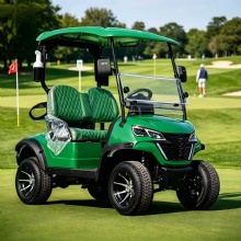 HKBG 2 seater Golf Cart Customizable golf carts