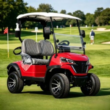 HKBG 2 seater Golf Cart Customizable golf carts