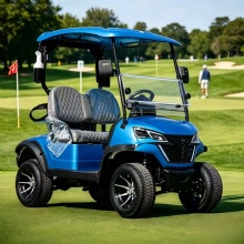 HKBG 2 seater Golf Cart Customizable golf carts