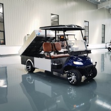 2 Seater Electric Farm Buggy with Cargo Bucket